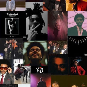 Meet your Posher, Izzy